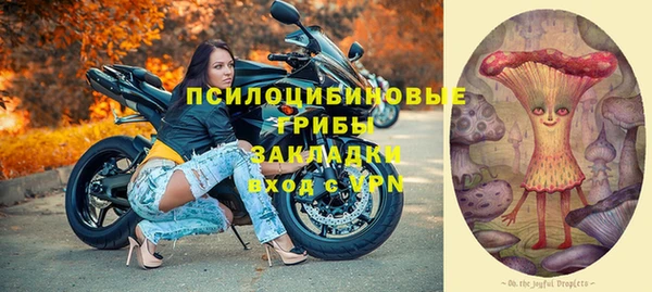 мяу мяу мука Медвежьегорск