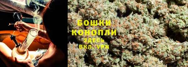 мяу мяу мука Медвежьегорск