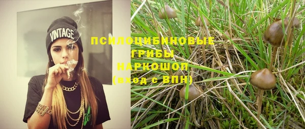 мяу мяу мука Медвежьегорск